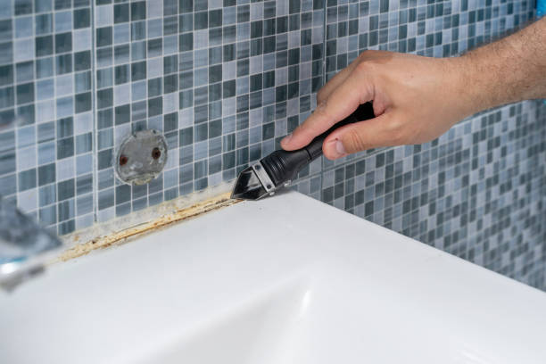 Best Mold Damage Repair  in Beavercreek, OR